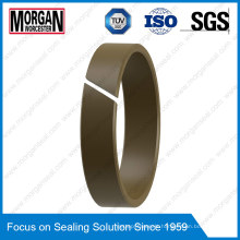 FRI Series Hydraulic Wear Ring/Cylinder Rod Guide Ring Seal